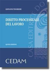 Diritto processuale del lavoro | Immagine Gallery 2