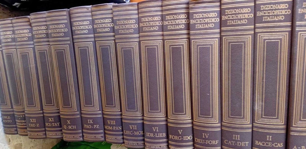 Dizionario enciclopedico italiano (14 volumi) | Immagine principale