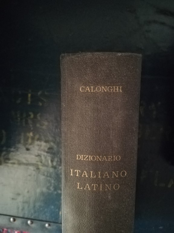 Dizionario italiano latino