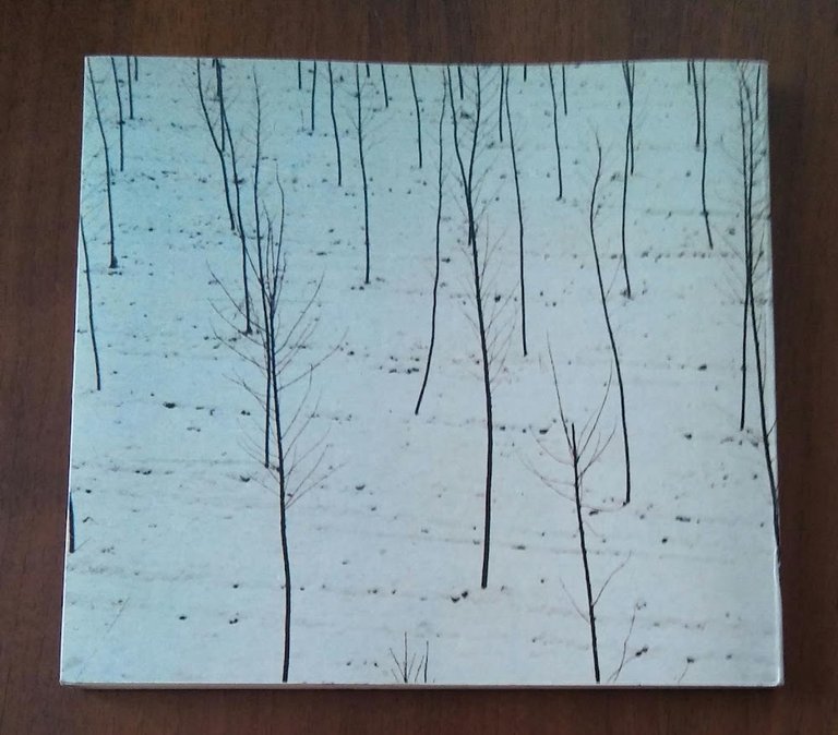 EMOZIONI MURATE | Immagine Gallery 2