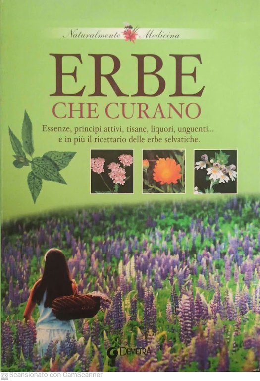 Erbe che curano