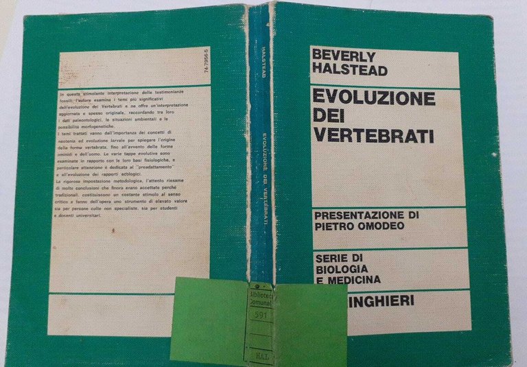 Evoluzione dei vertebrati | Immagine Gallery 2