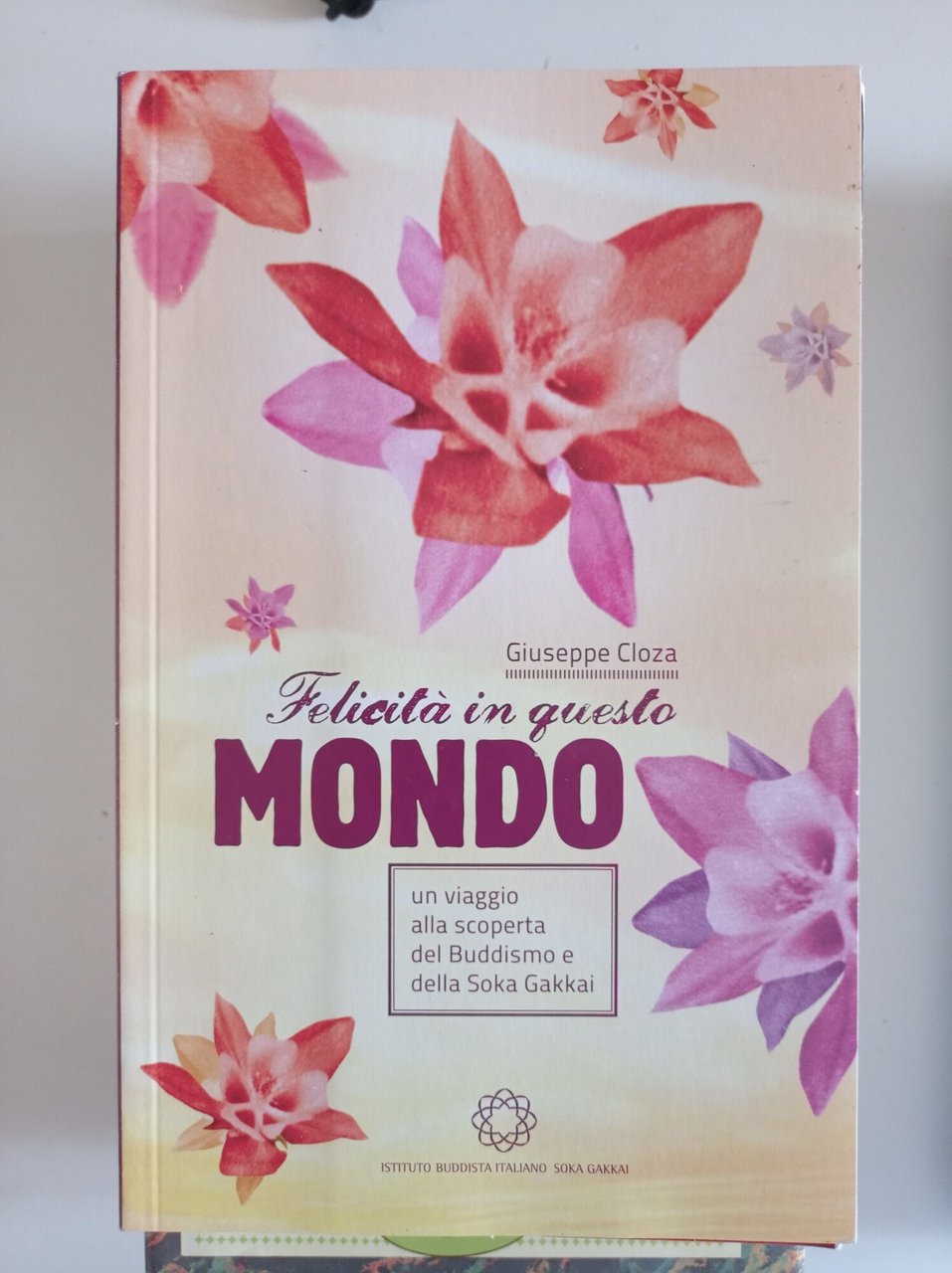 Felicità in questo mondo : un viaggio alla scoperta del …