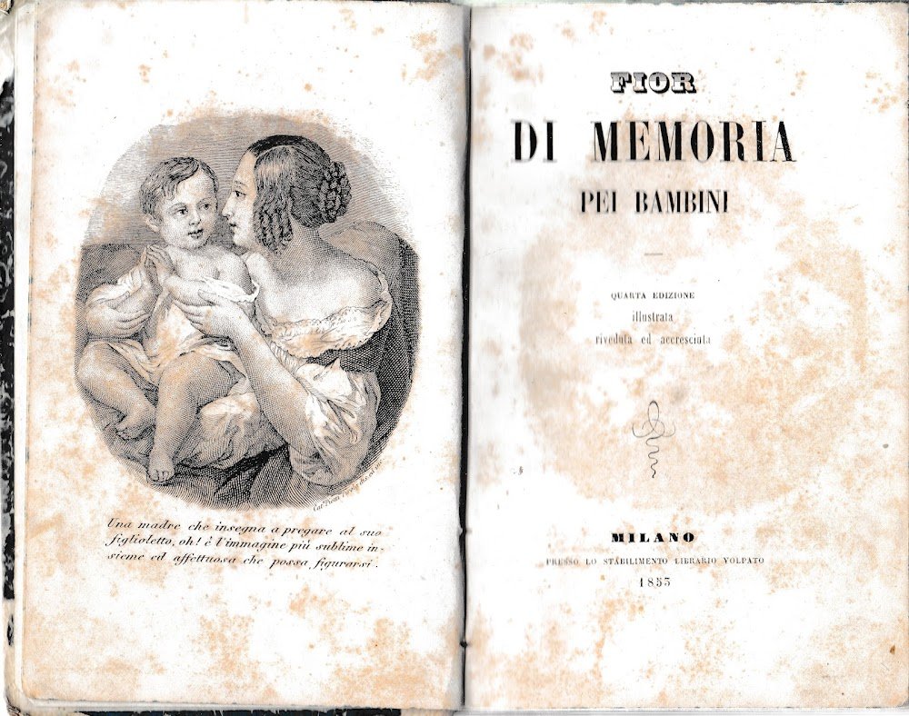 Fior di memoria pei bambini | Immagine principale