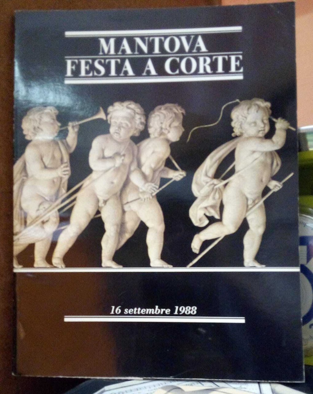 FMR. Mantova festa a corte, 16 Settembre 1988 | Immagine principale