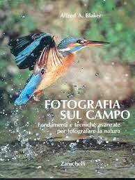 Fotografia sul campo | Immagine principale