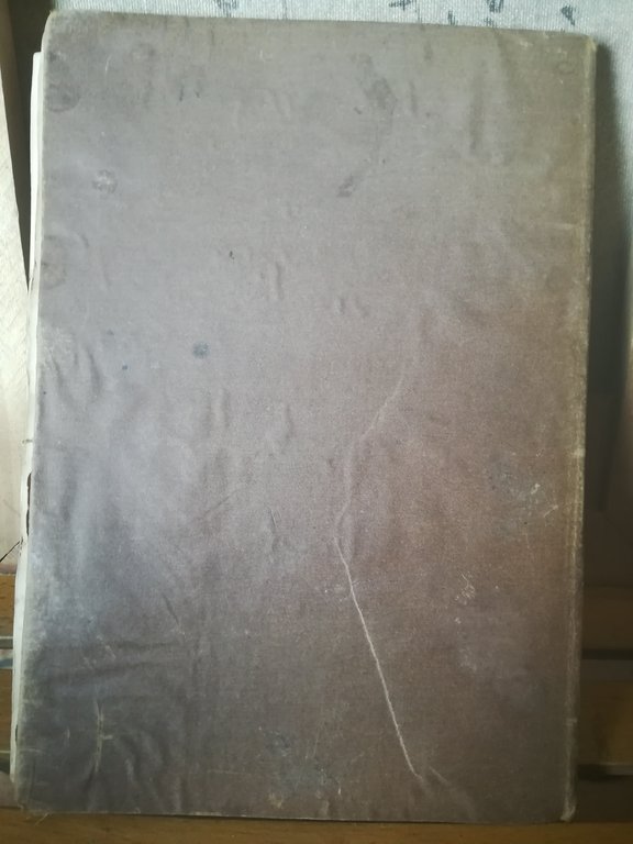 Frammento di un codice della Divina Commedia scritto sulla fine …