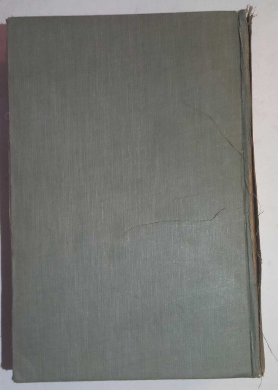 Fundamentals of Economic Geography | Immagine Gallery 4