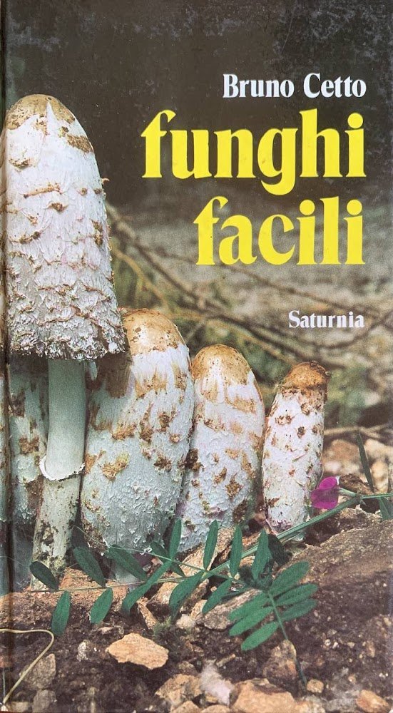 Funghi facili | Immagine principale