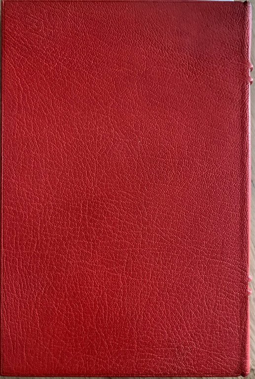 Gerani alla finestra