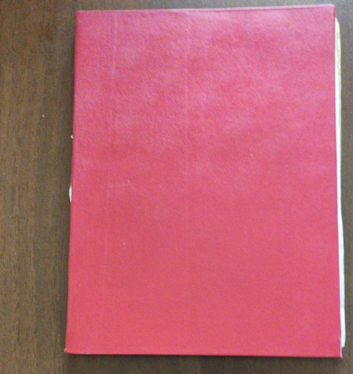 Gerardo di Lavernie Spade intorno a un fiore | Immagine Gallery 5