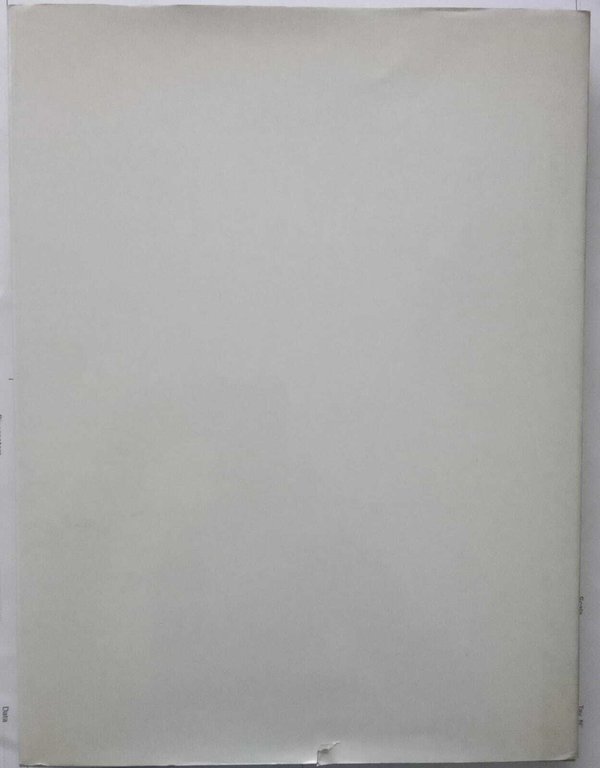 Gli affreschi giovanili del Parmigianino | Immagine Gallery 4