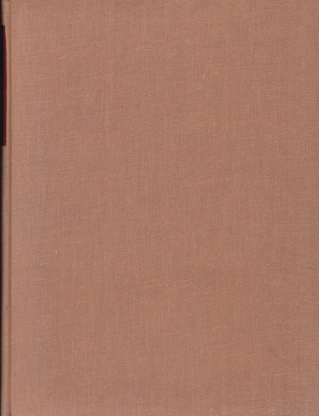 Gli ammortamenti: principi, tecniche, applicazioni.