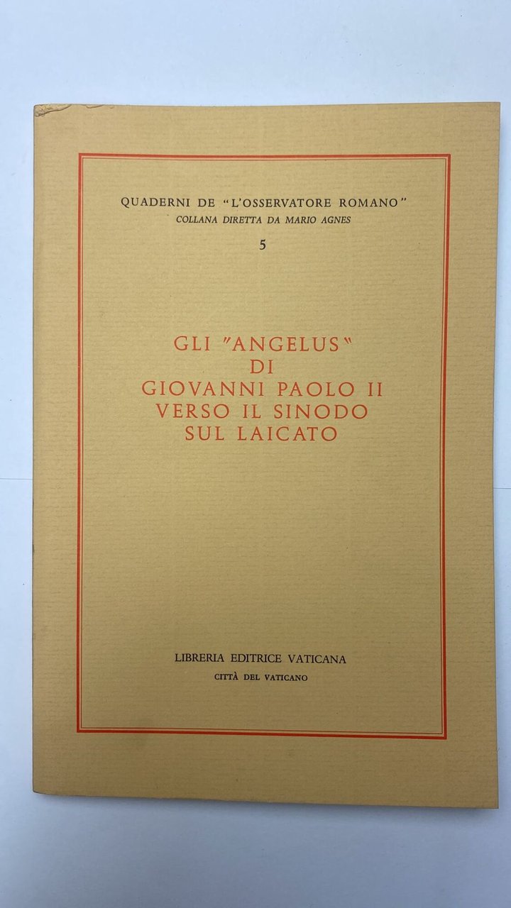 Gli Angelus verso il sinodo sul laicato | Immagine principale