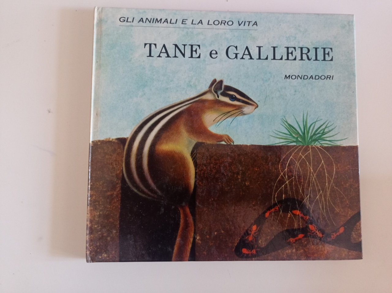 Gli animali e la loro vita: Tane e gallerie