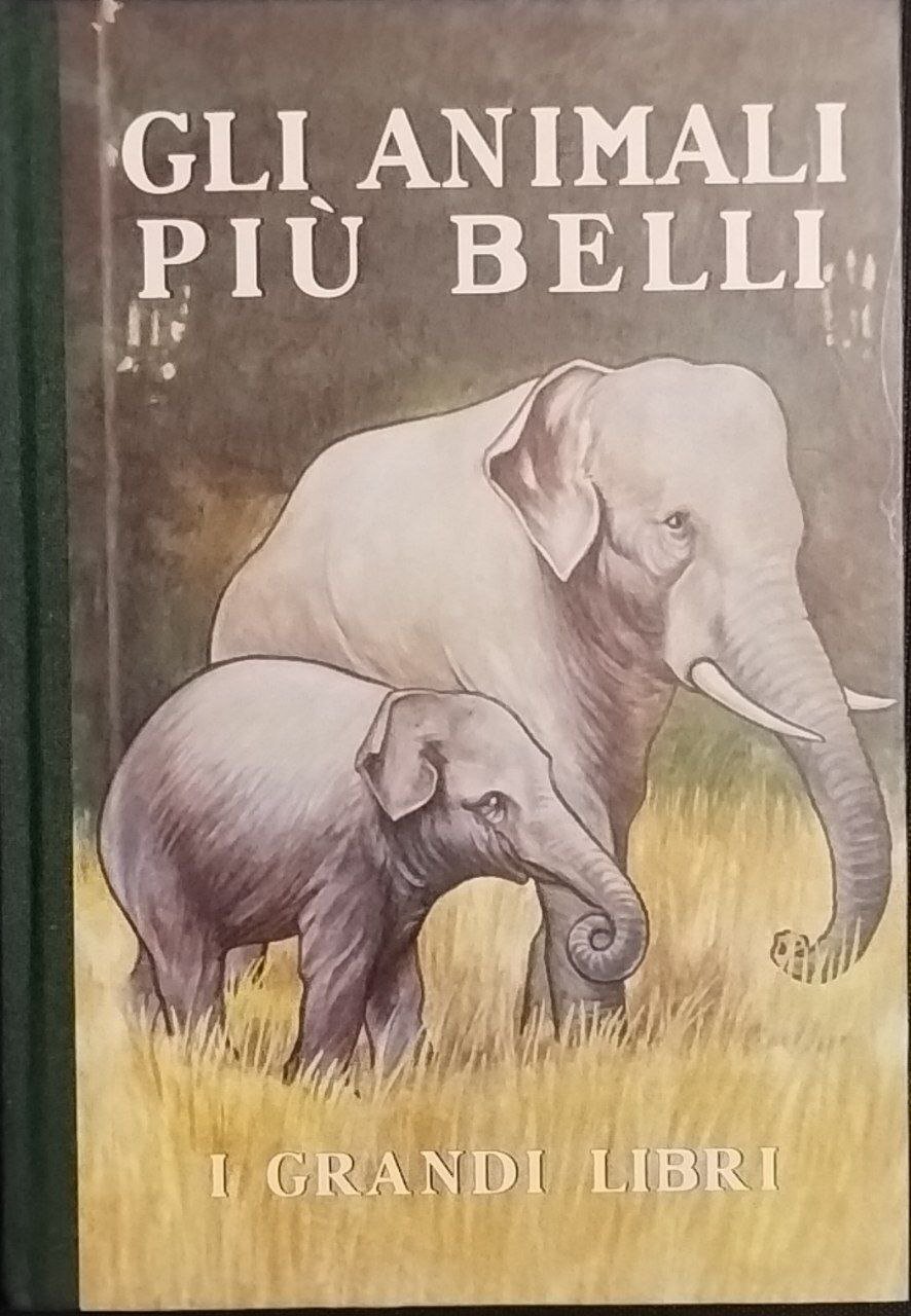 Gli animali più belli | Immagine principale