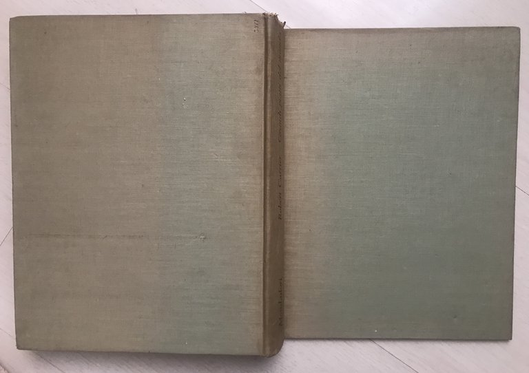 Grandi piatti del mondo | Immagine Gallery 4