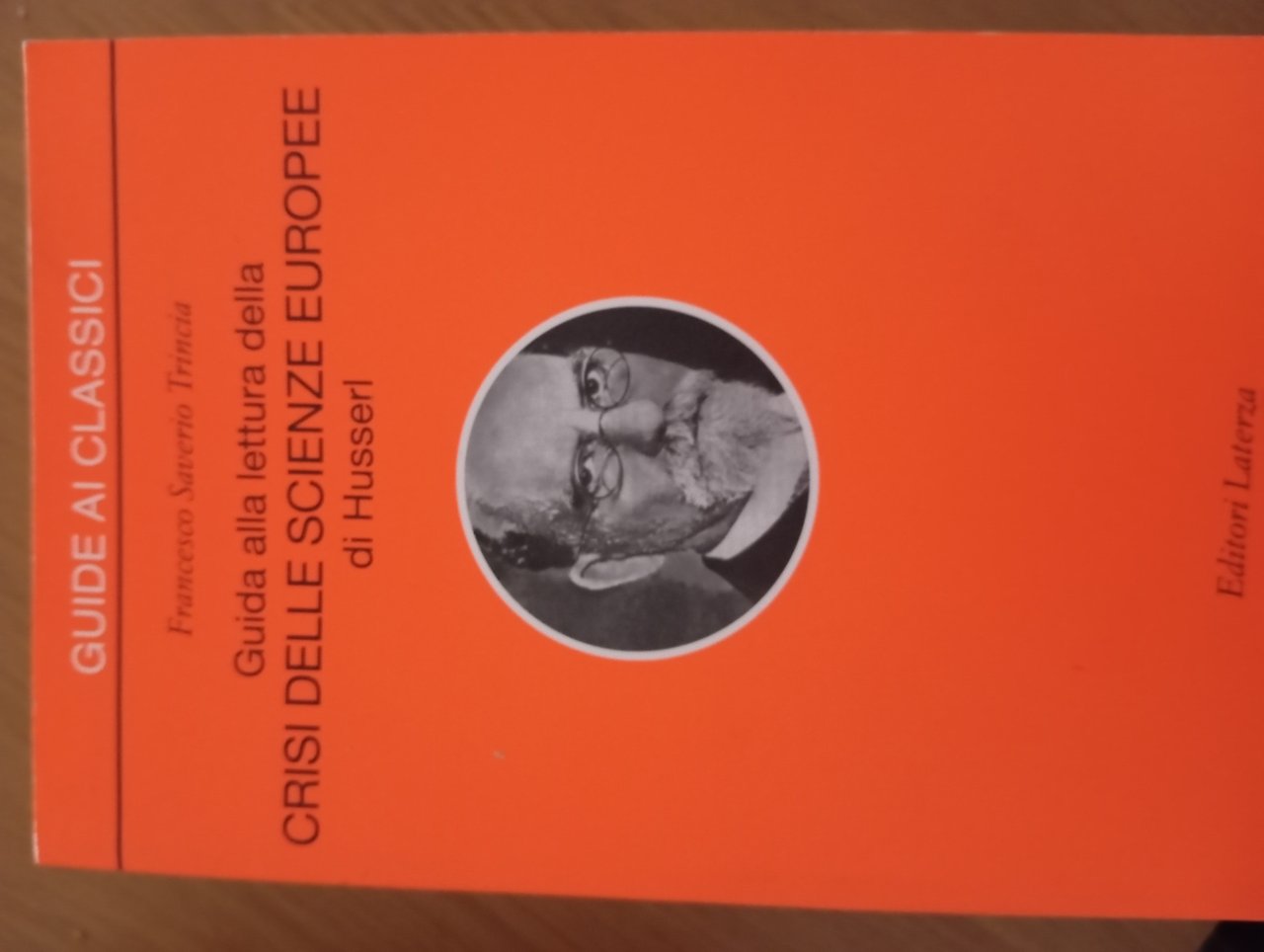 Guida alla lettura della «Crisi delle scienze europee» di Husserl | Immagine principale