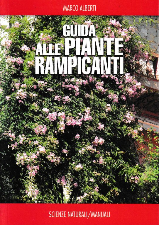 Guida alle piante rampicanti