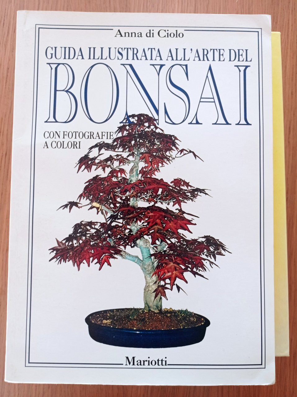 Guida illustrata all'arte del Bonsai | Immagine principale