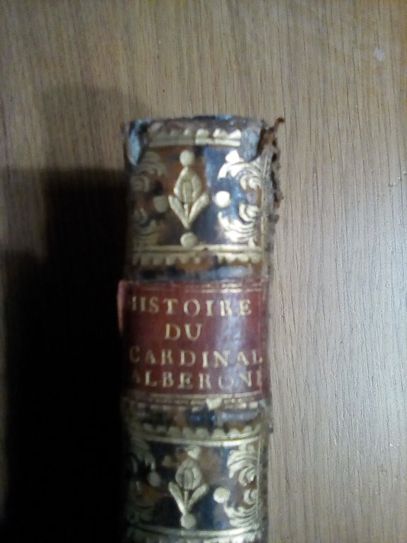 Histoire du Cardinal Alberoni | Immagine Gallery 2