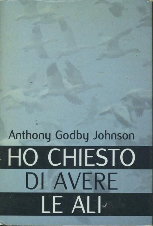 Ho chiesto di avere le ali