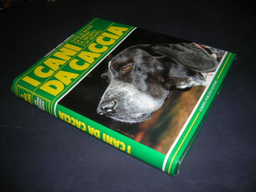 I Cani Da Caccia-Tutte le Razze di Ferma, Riporto, Seguito | Immagine principale