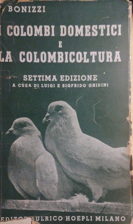 I colombi domestici e la colombicoltura | Immagine Gallery 2