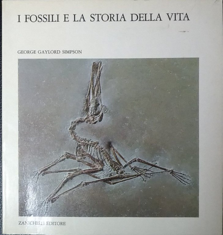 I fossili e la storia della vita | Immagine Gallery 2