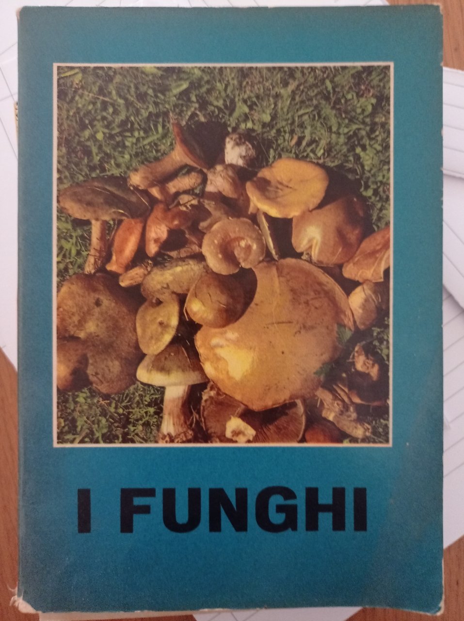I funghi | Immagine principale