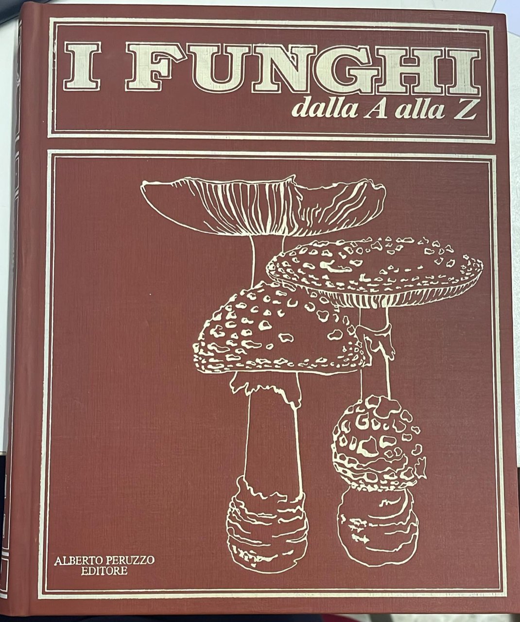 I funghi dalla A alla Z - Vol. 1