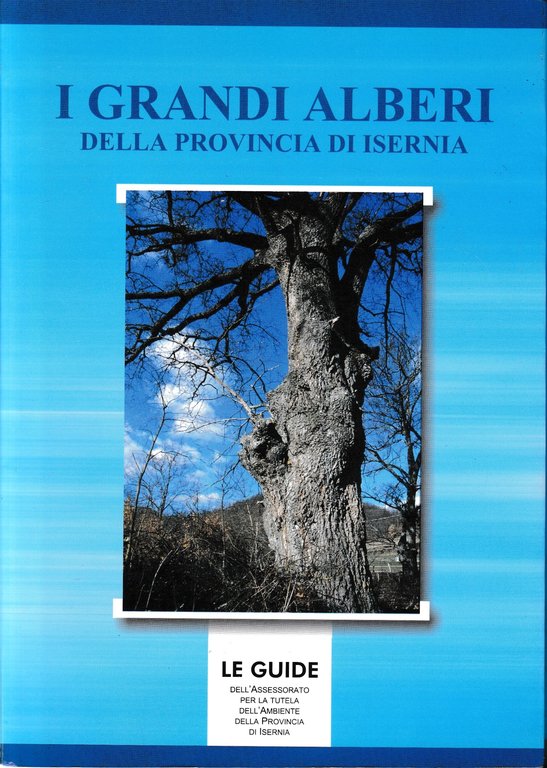 I grandi alberi della provincia di Isernia.