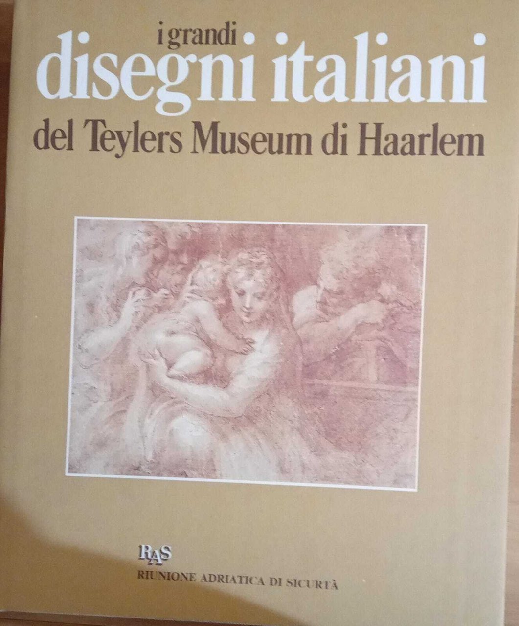 I grandi disegni italiani del Teylers Museum di Haarlem | Immagine principale