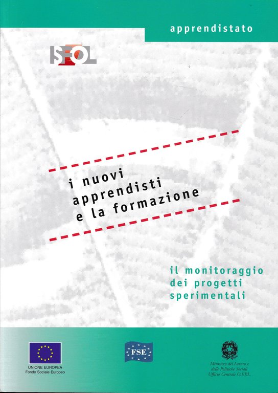 I nuovi apprendisti e la formazione. Il monitoraggio dei progetti …