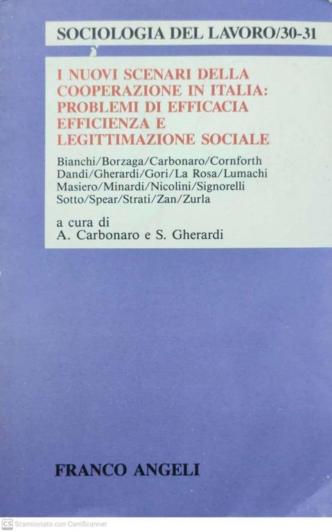 I nuovi scenari della cooperazione in Italia: problemi di efficacia, … | Immagine Gallery 2