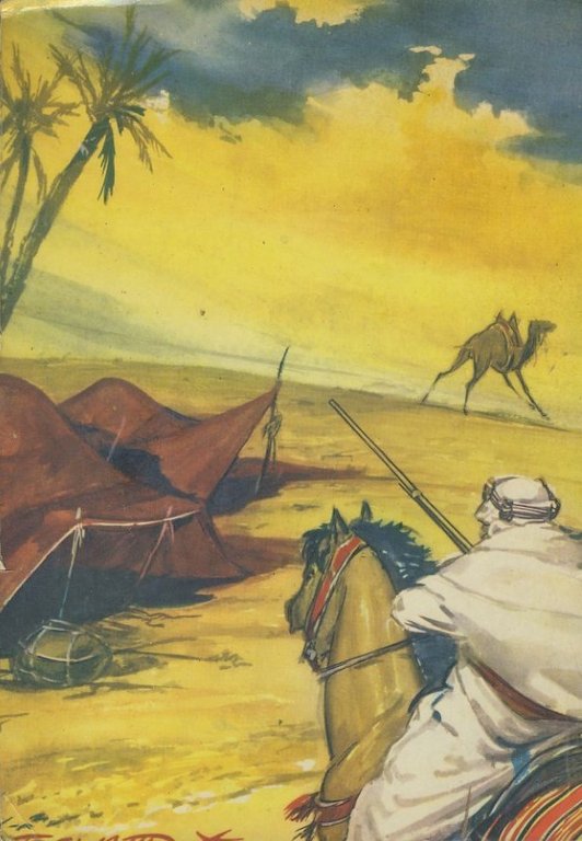 I predoni del Sahara