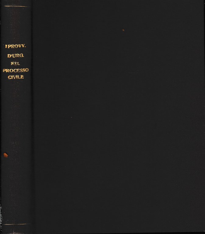 I provvedimenti d'urgenza del processo civile