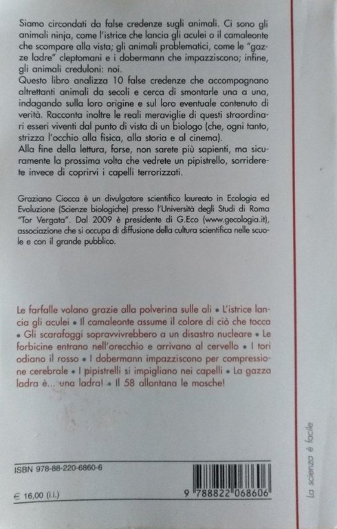 I tori odiano il rosso. 10 false credenze sugli animali | Immagine Gallery 6