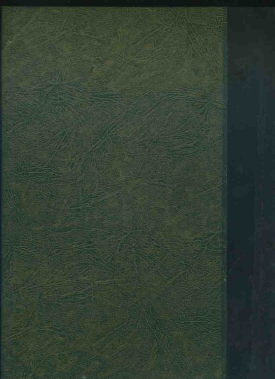 Il bisonte nero del Far West. L'aquila della Ande | Immagine Gallery 4