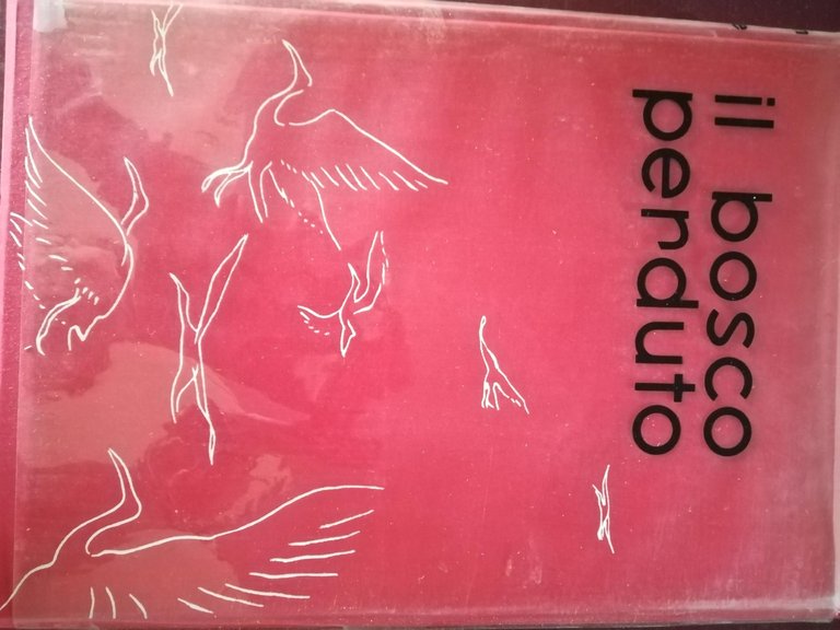 Il bosco perduto | Immagine Gallery 2