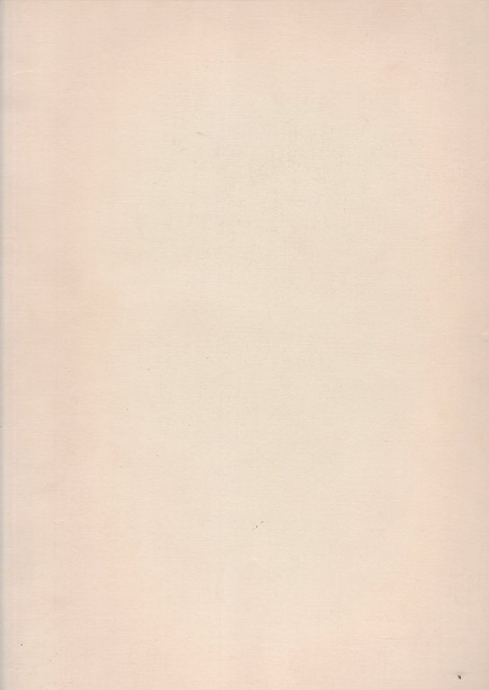 Il bugiardo napoletano. Cronache e ricordi di Loise De Rosa
