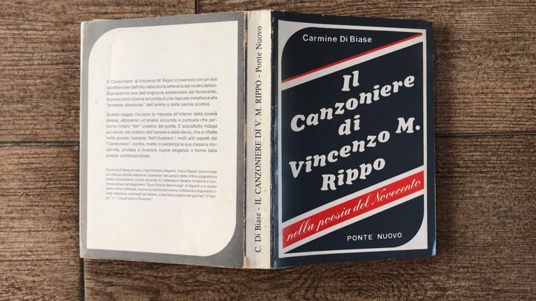 Il canzoniere di Vincenzo. M. Rippo
