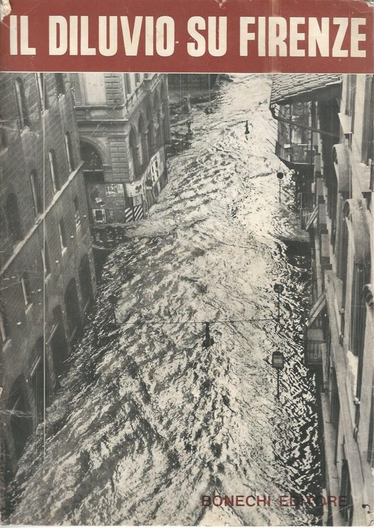 Il diluvio su Firenze | Immagine Gallery 2