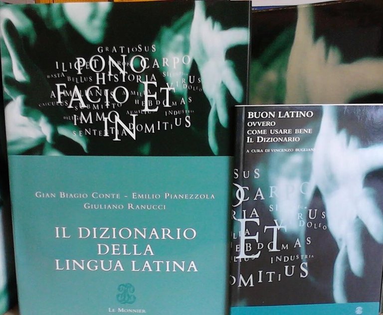 Il dizionario della lingua italiana
