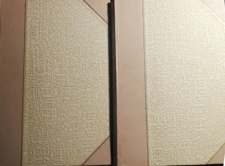 Il Fascismo vol. I e II | Immagine Gallery 3