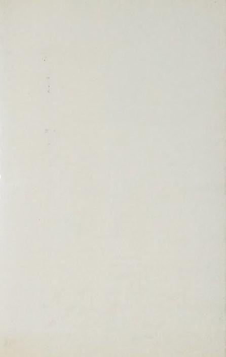 Il fratello italiano | Immagine Gallery 4