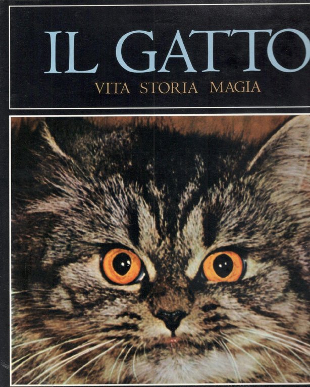Il gatto, vita, storia, magia