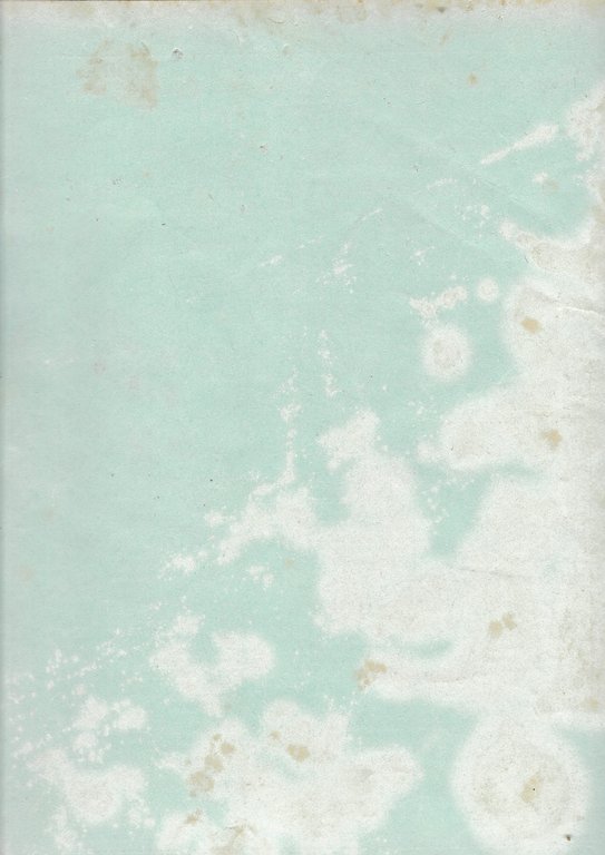 Il giardino fiorito n. 5 Maggio 1932