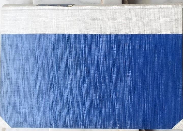 Il giocatore | Immagine Gallery 4