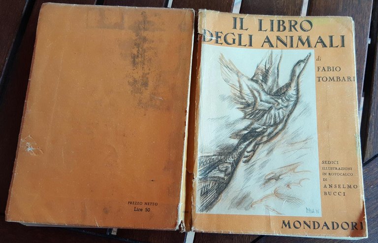 Il libro degli animali | Immagine Gallery 2